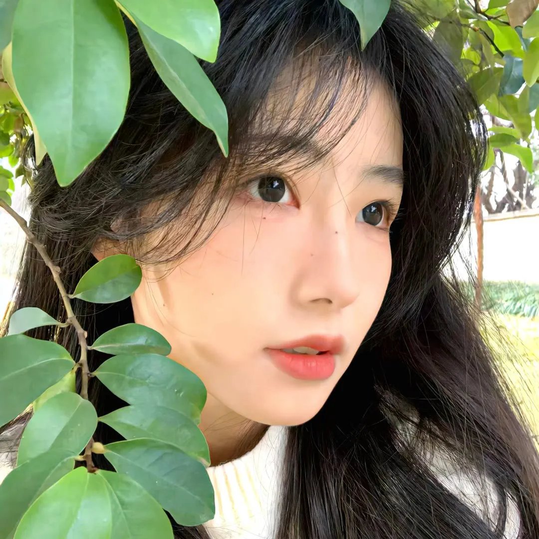 美洲艳后